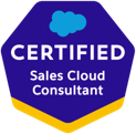 Sales Cloud Consultant