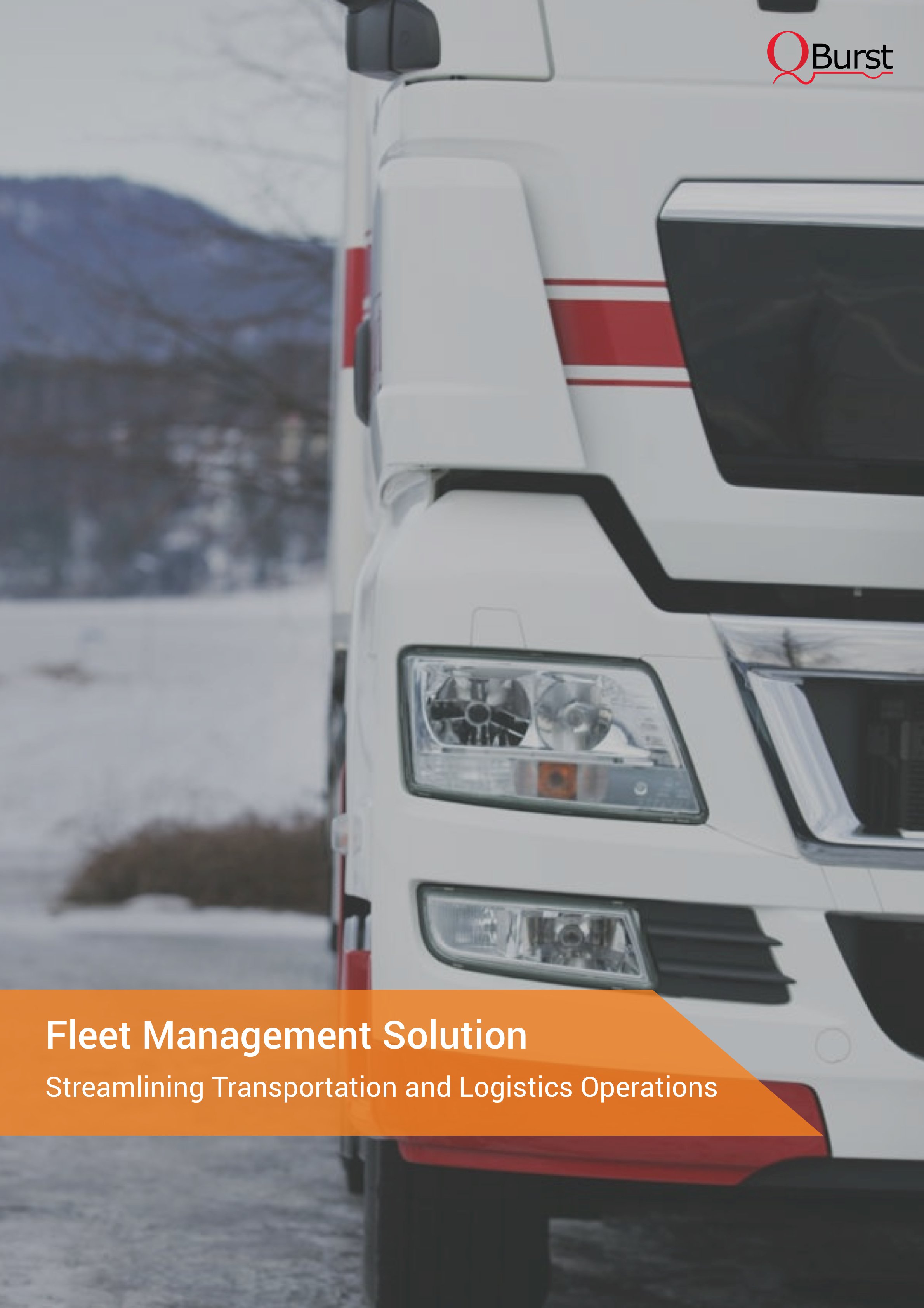 fleet-safety-management-solution pdf