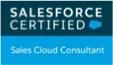 certified sales cloud consultant