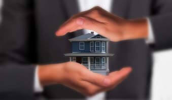 Insurance Carriers