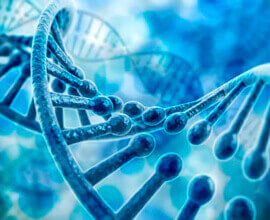 Gamified Restaurant Giscovery