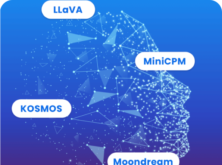 Open Source Vision Language Models