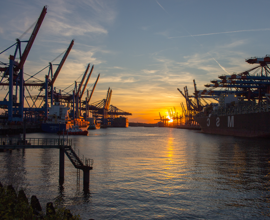 intranet portal development